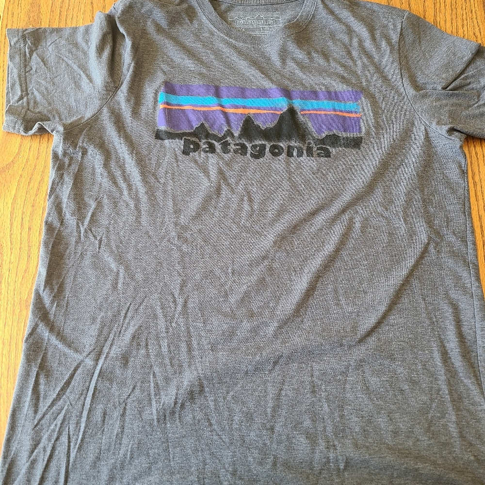 Patagonia everyday tee